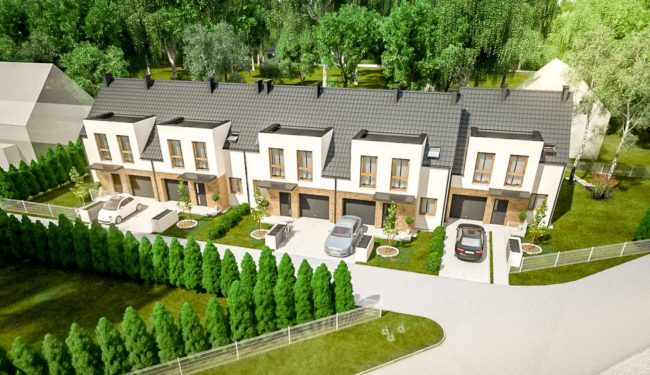 szeregówki wilczyce złota_1